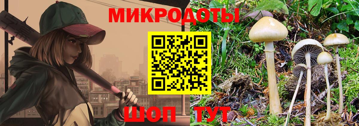 Елабуга  Галлюциногенные грибы Magic Shrooms  Галлюциногенные грибы Psilocybe  Вход с VPN 